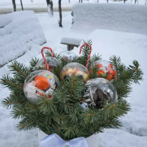 Premium edible gifts concept with Kinder Bueno and M&Ms inside transparent spheres surrounded by fresh pine .